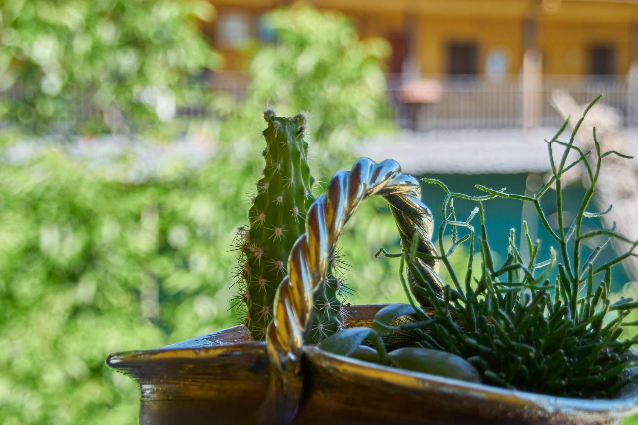 Casa El Susurro Villa Ponferrada Eksteriør bilde